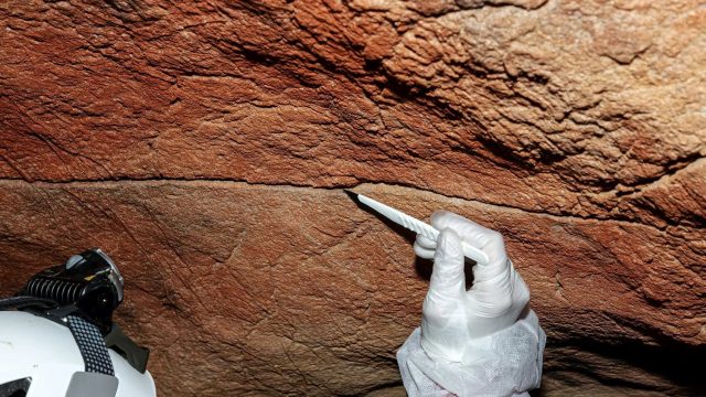 Ancient Genetic Clues Found in Iberian Caves Challenge Artistic Narratives